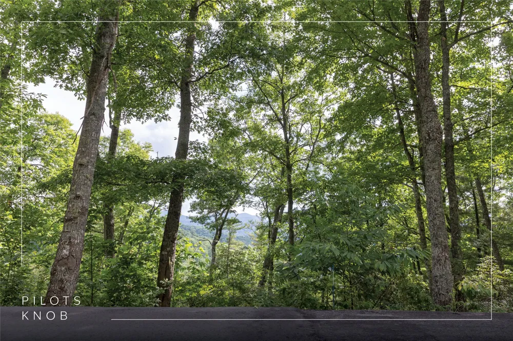 Lot 51 Winter Green Drive Glenville, NC 28736