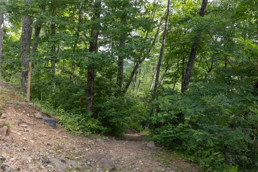 Lot 51 Winter Green Drive Glenville, NC 28736