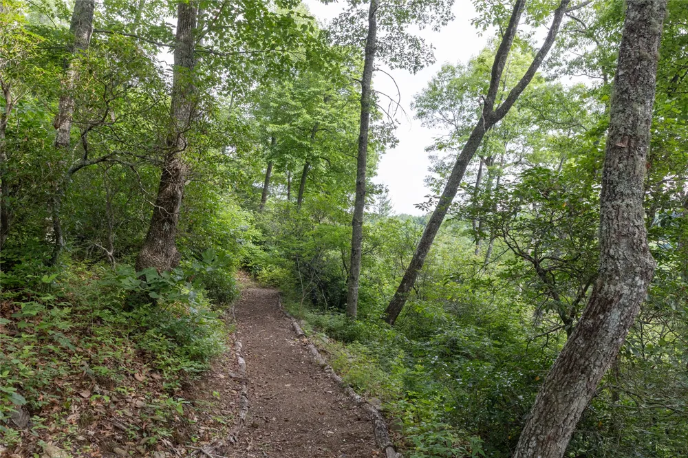 Lot 51 Winter Green Drive Glenville, NC 28736