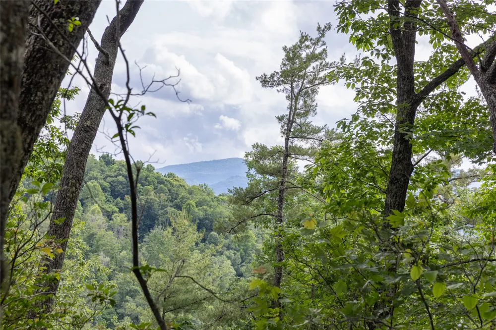 Lot 51 Winter Green Drive Glenville, NC 28736