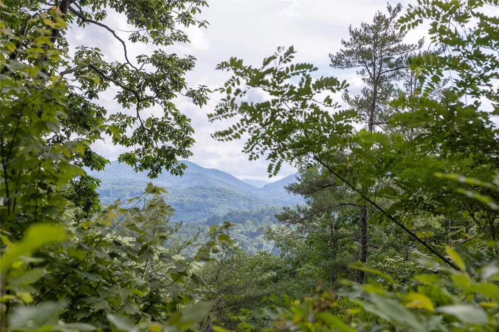 Lot 51 Winter Green Drive Glenville, NC 28736