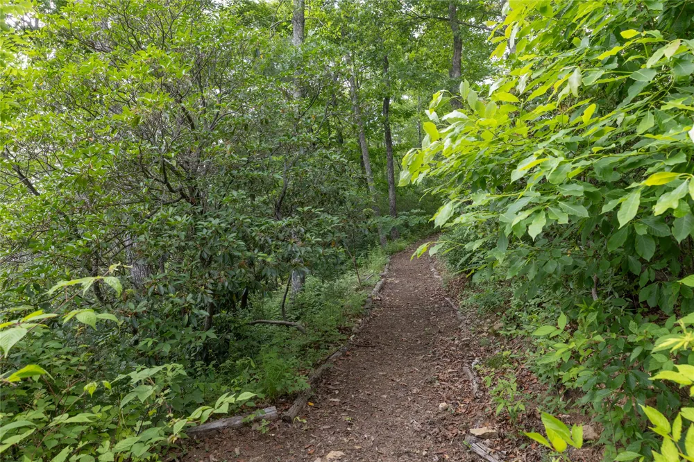 Lot 51 Winter Green Drive Glenville, NC 28736