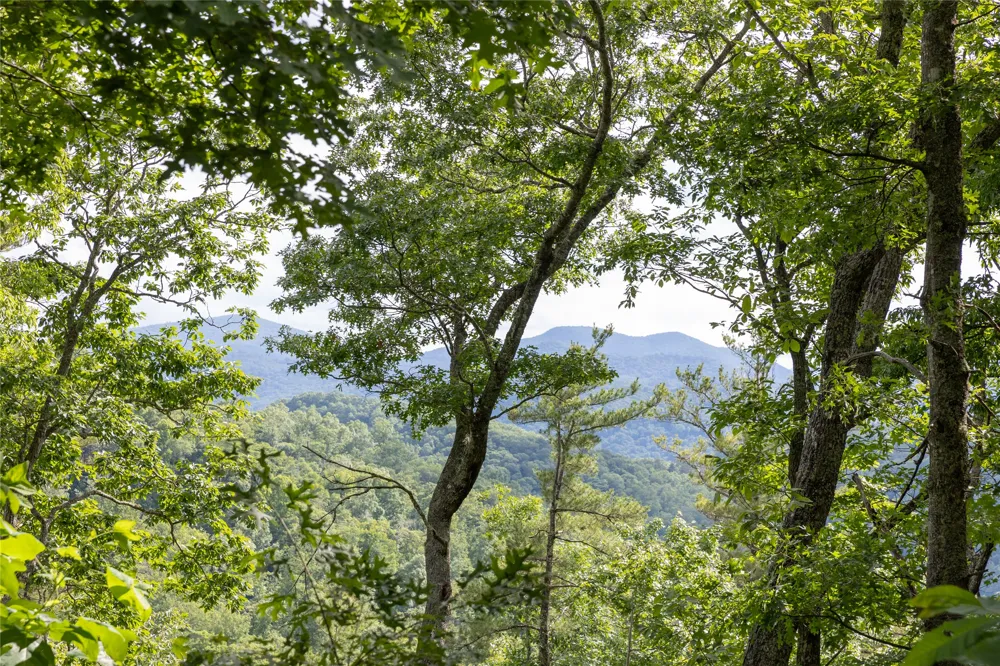 Lot 51 Winter Green Drive Glenville, NC 28736