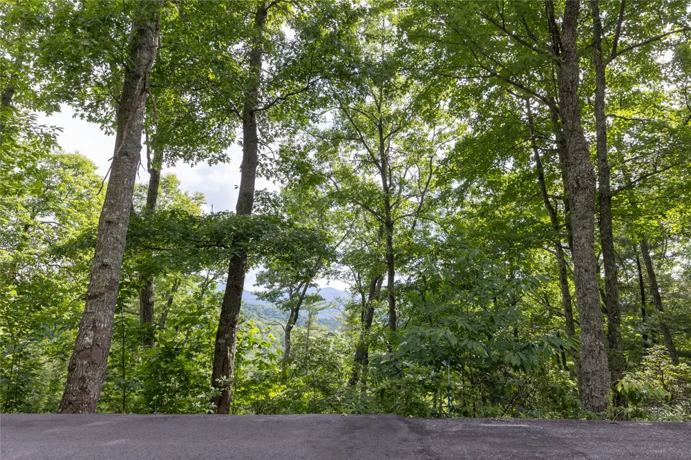 Lot 51 Winter Green Drive Glenville, NC 28736