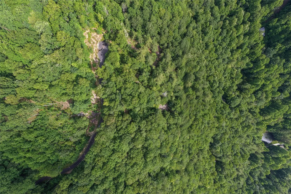 Lot 51 Winter Green Drive Glenville, NC 28736