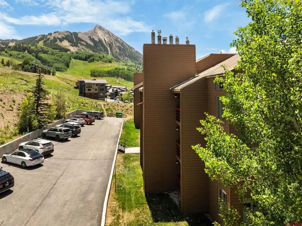 25 Emmons Road #41 Crested Butte, CO 81225