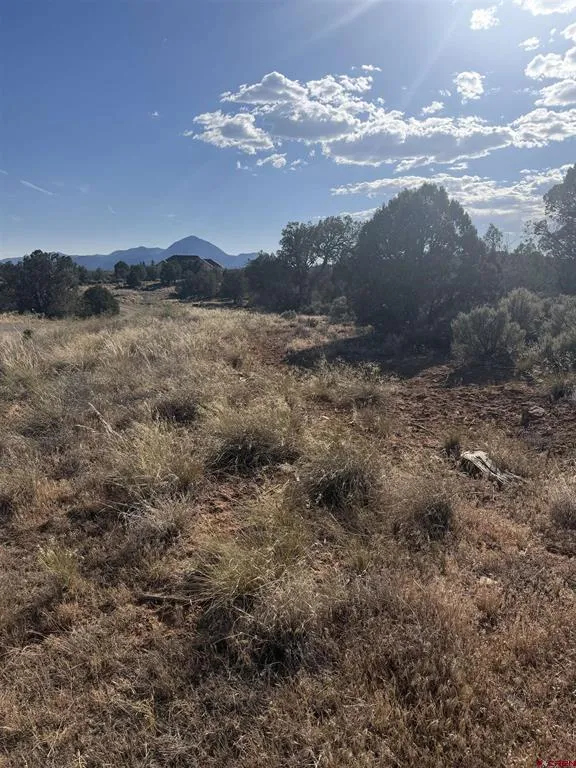 Road K.3 Cortez, CO 81321