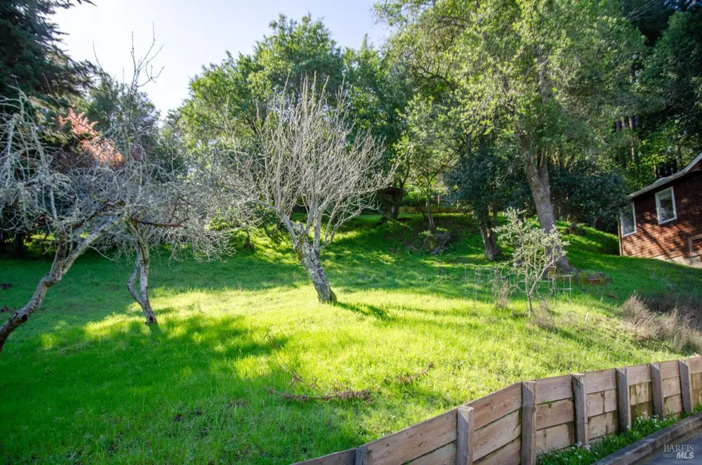 55 Mono Way Mill Valley, CA 94941