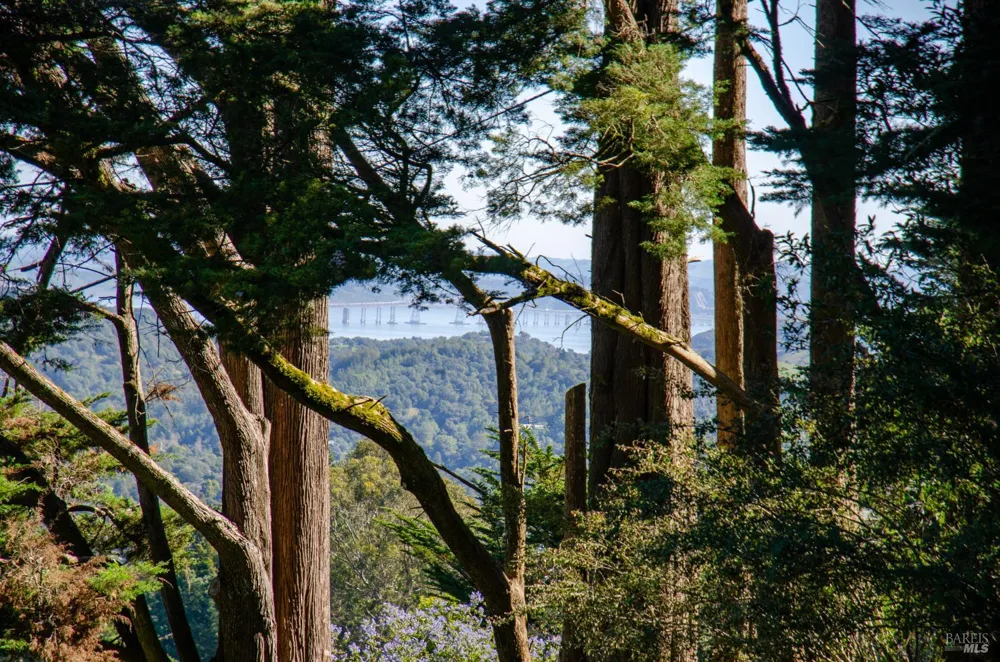 55 Mono Way Mill Valley, CA 94941