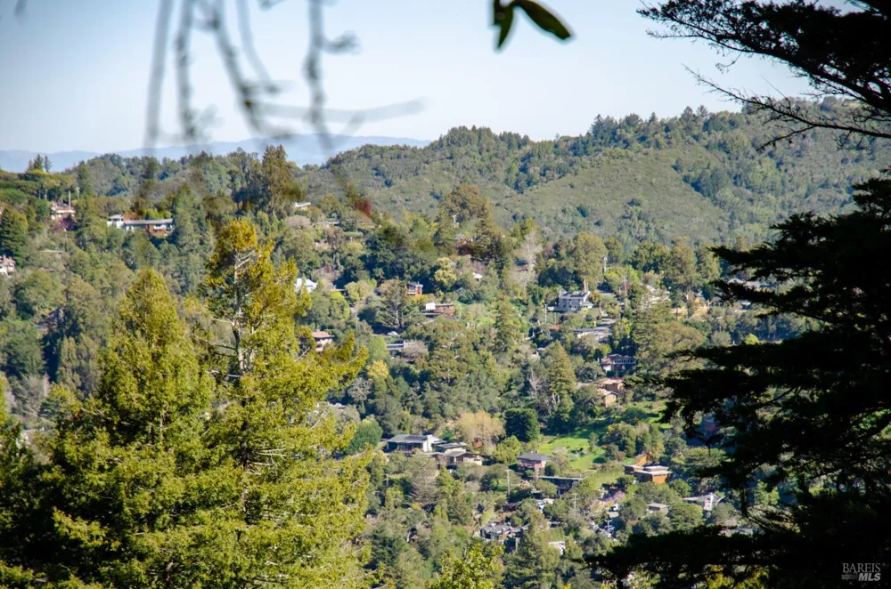 55 Mono Way Mill Valley, CA 94941