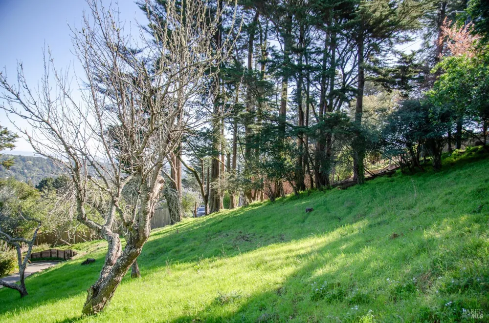 55 Mono Way Mill Valley, CA 94941