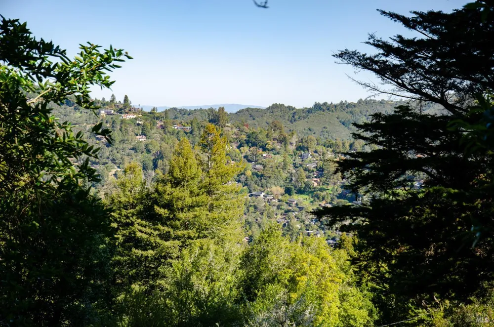 55 Mono Way Mill Valley, CA 94941