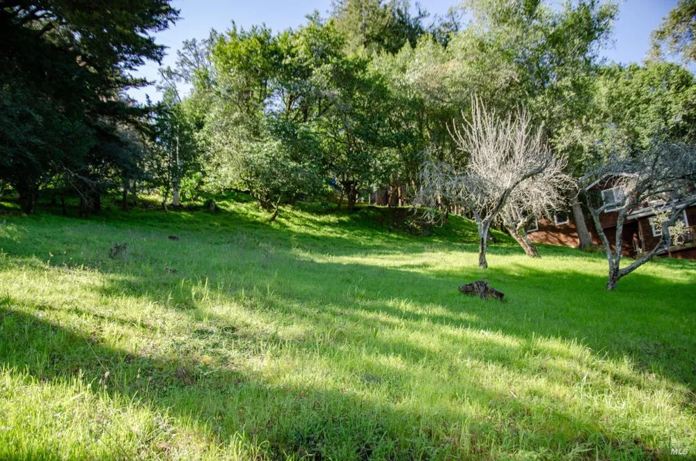 55 Mono Way Mill Valley, CA 94941