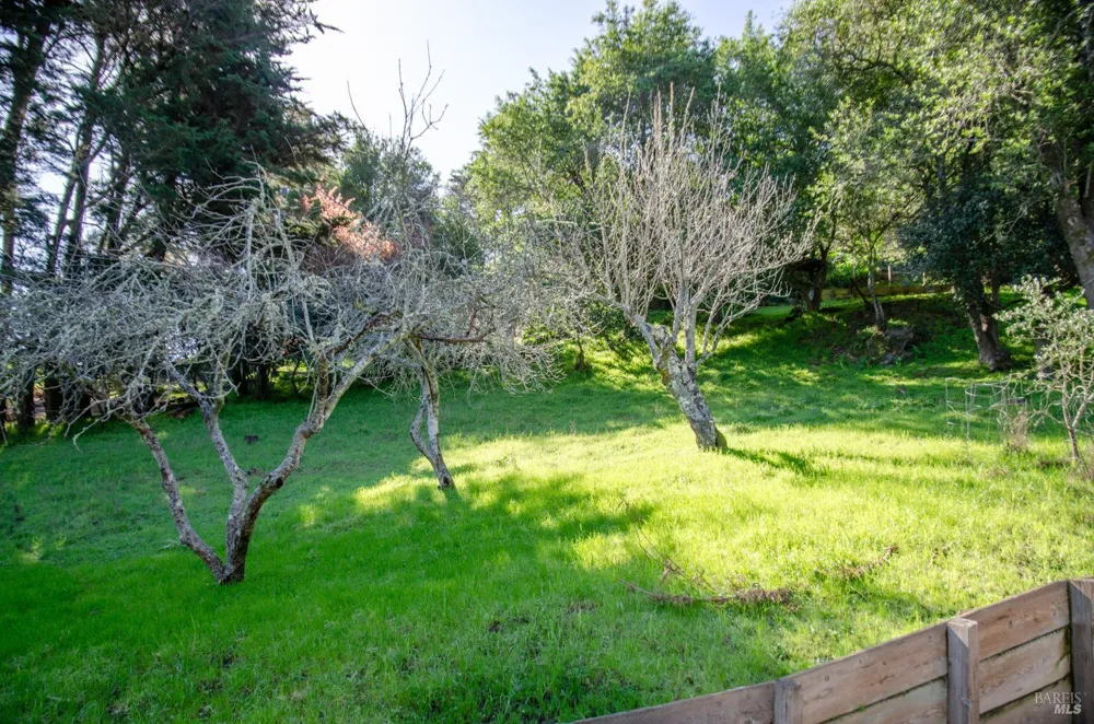 55 Mono Way Mill Valley, CA 94941