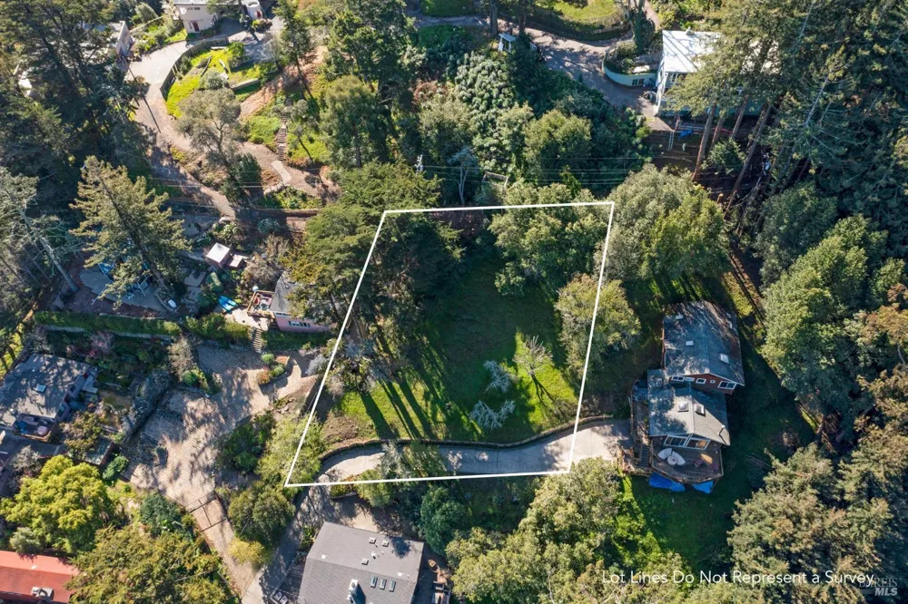 55 Mono Way Mill Valley, CA 94941
