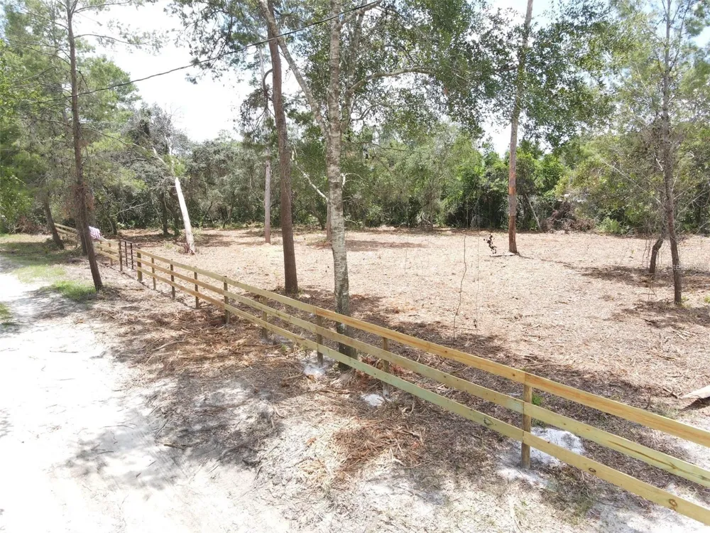 W PINE STREET Paisley, FL 32767