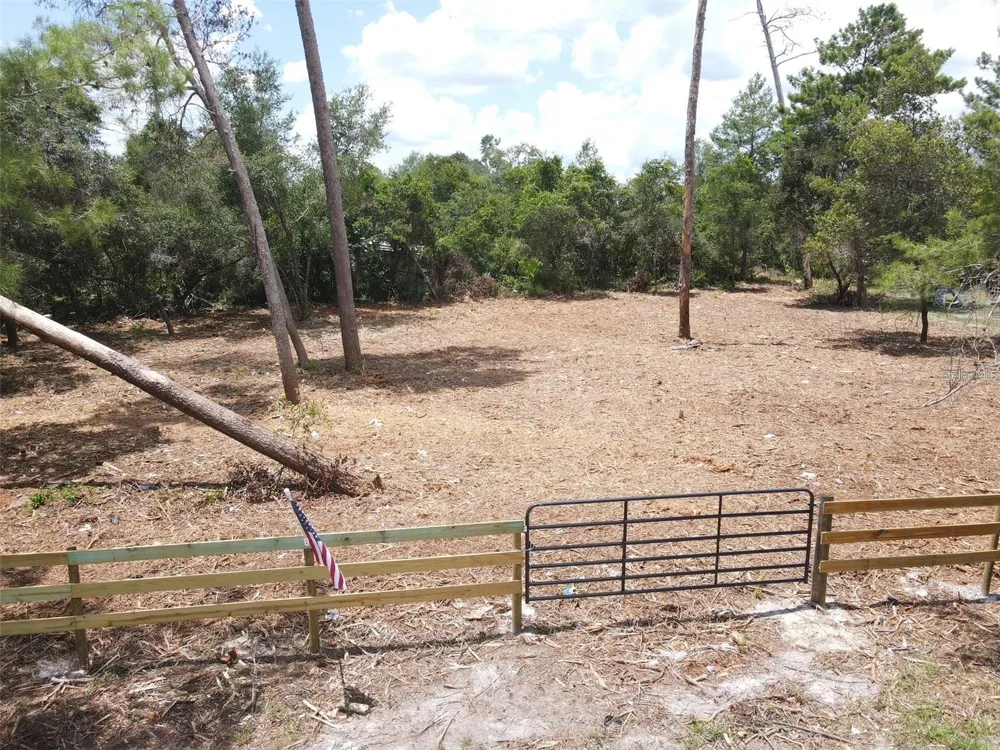 W PINE STREET Paisley, FL 32767