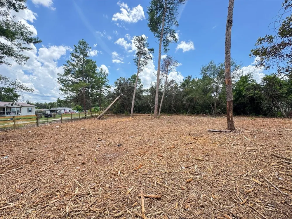 W PINE STREET Paisley, FL 32767
