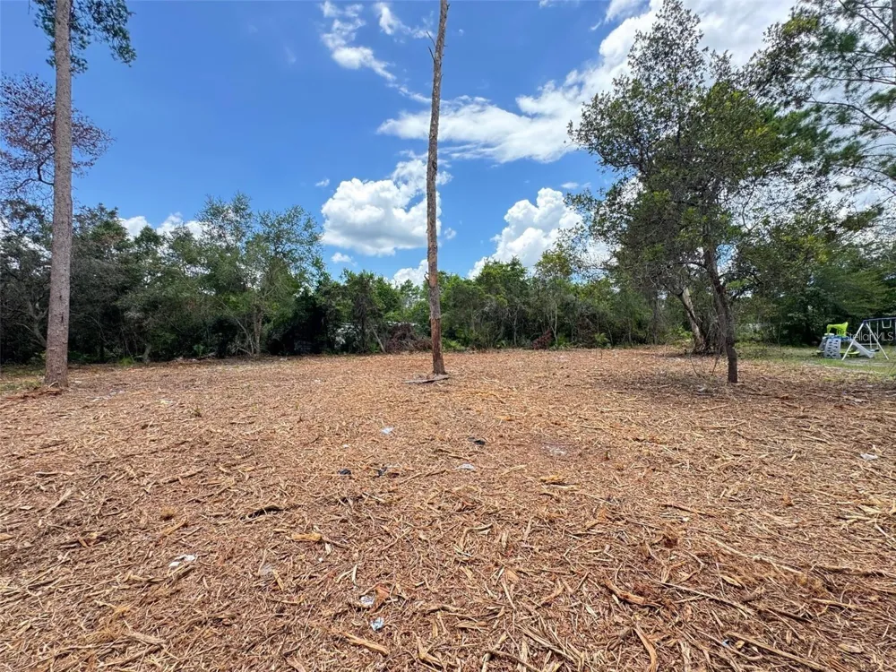 W PINE STREET Paisley, FL 32767