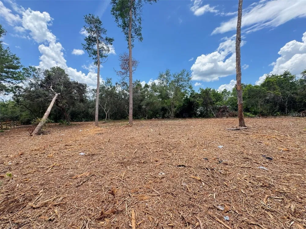 W PINE STREET Paisley, FL 32767