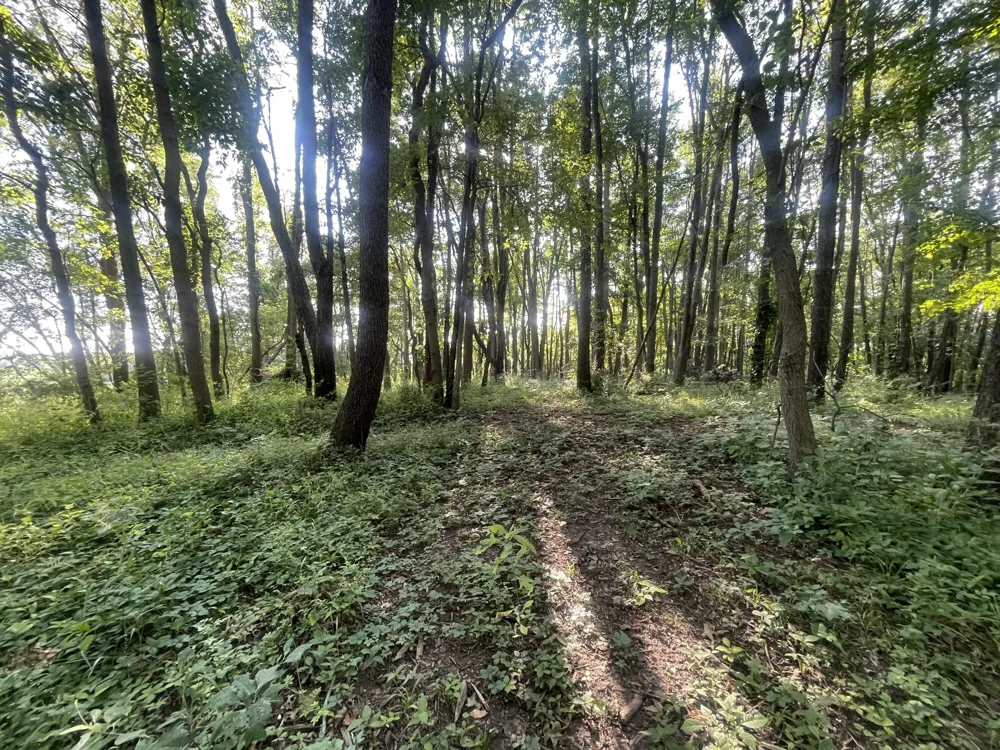 Knight Road Marcellus, MI 49067