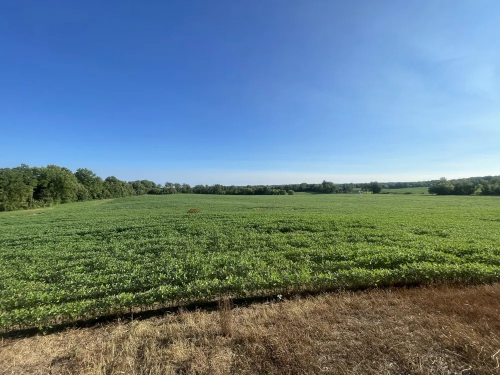 Knight Road Marcellus, MI 49067