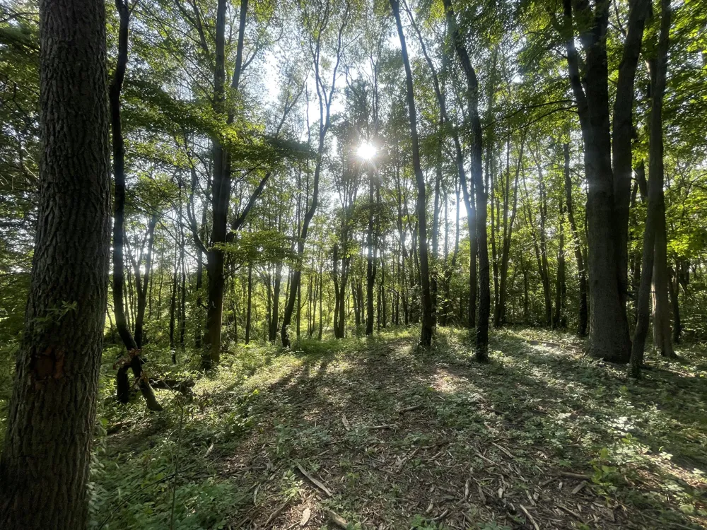 Knight Road Marcellus, MI 49067