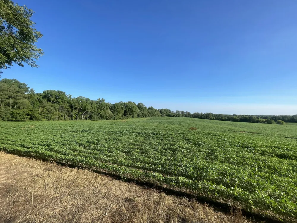 Knight Road Marcellus, MI 49067