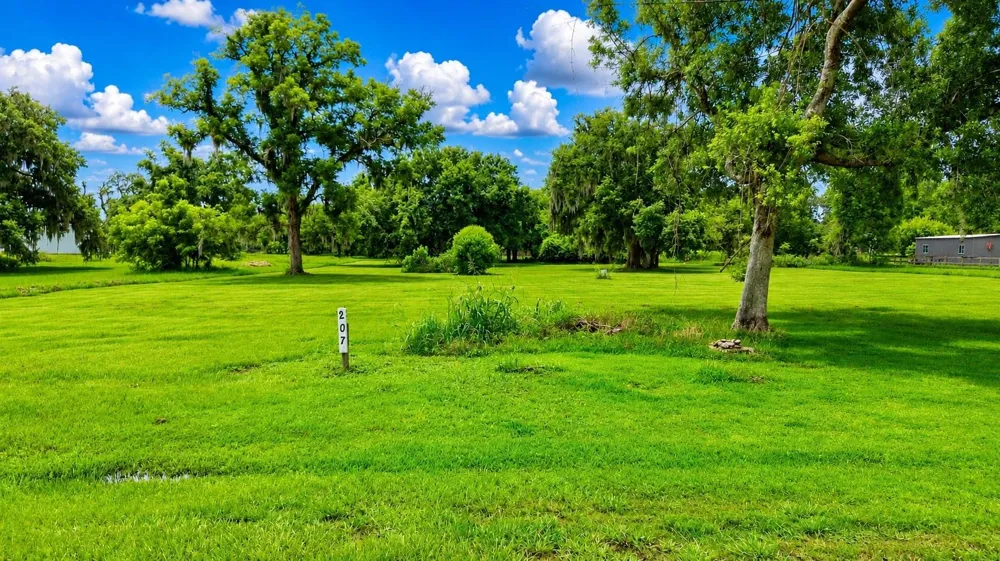 220 Stage Coach Trail Angleton, TX 77515