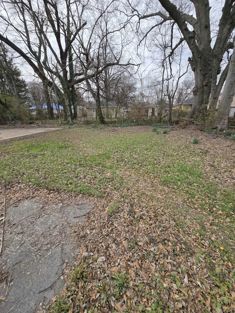 1495 MAPLEWOOD ST Memphis, TN 38108