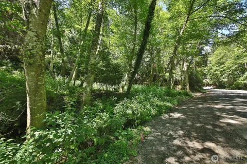 0 XXX George Drive