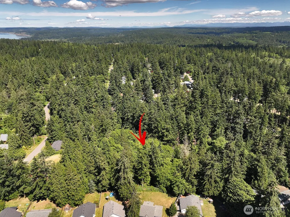 0 XXX George Drive Clinton, WA 98236