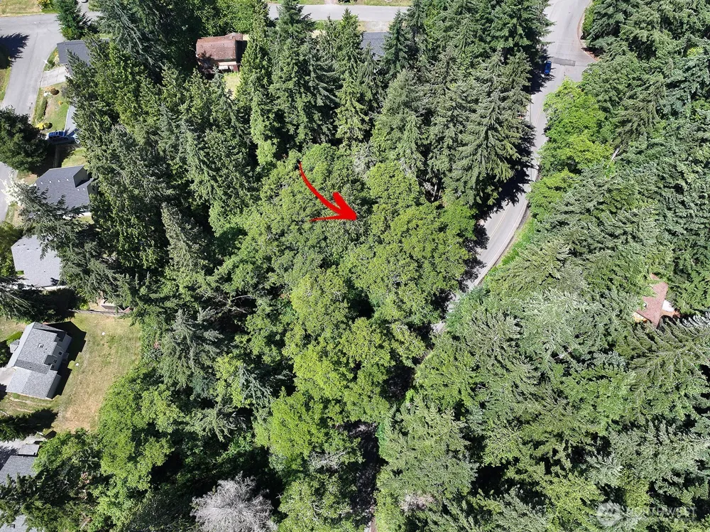 0 XXX George Drive Clinton, WA 98236