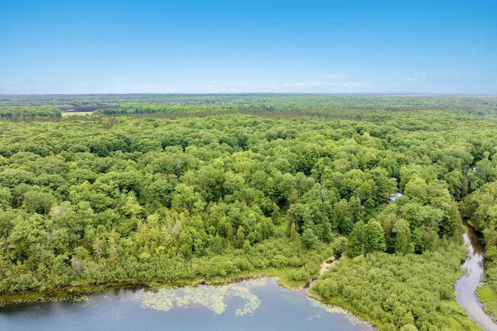 4361 Jeri Road Almira Township, MI 49643