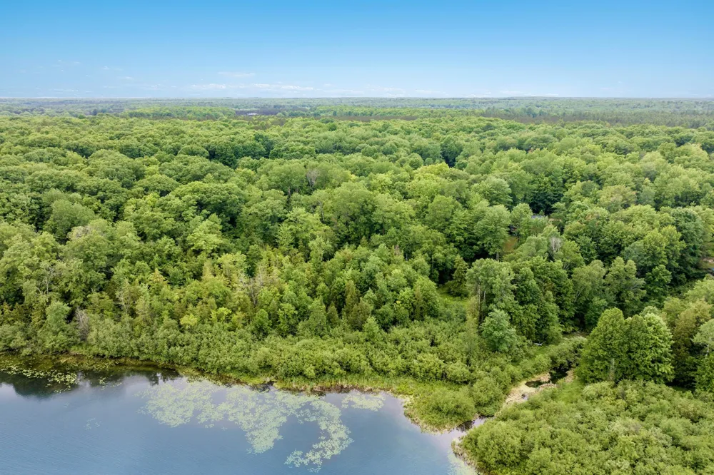 4361 Jeri Road Almira Township, MI 49643