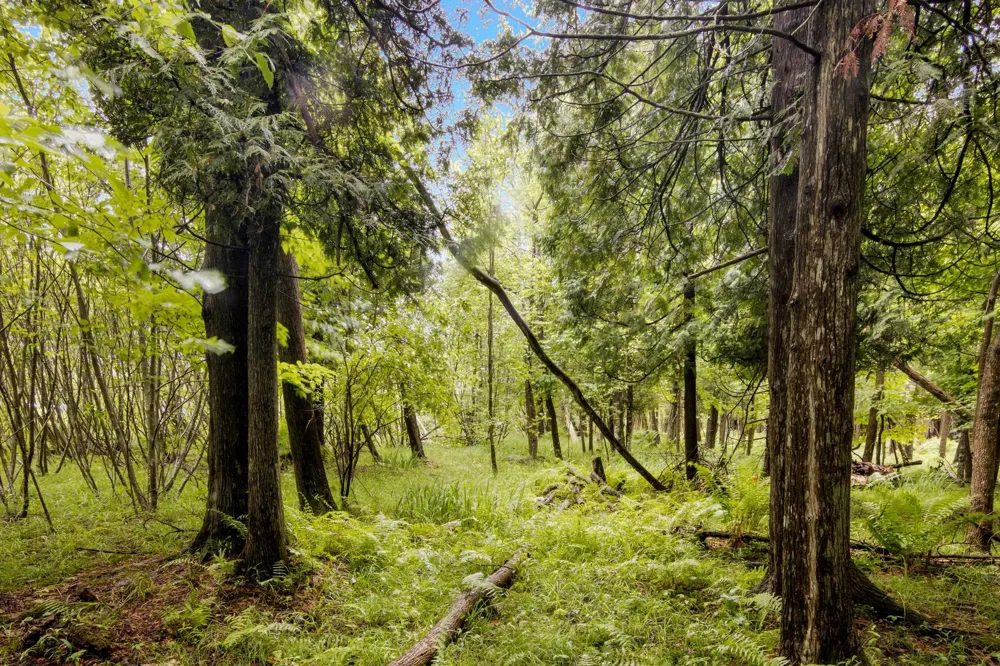 4361 Jeri Road Almira Township, MI 49643