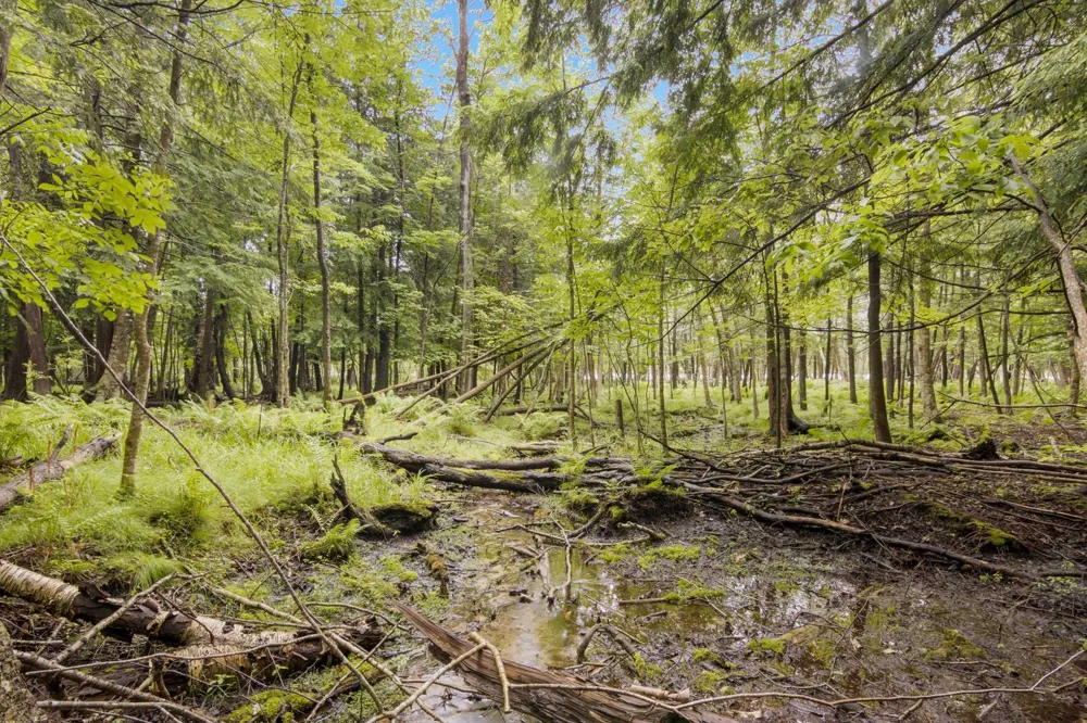 4361 Jeri Road Almira Township, MI 49643