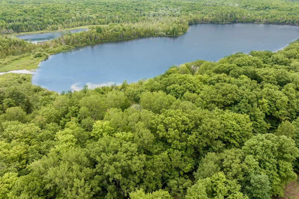 4361 Jeri Road Almira Township, MI 49643
