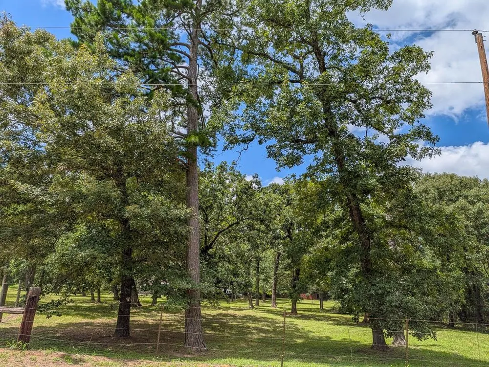 6099 County Road 302 Navasota, TX 77868