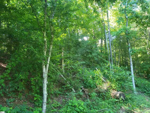 00 Hidden Valley Road