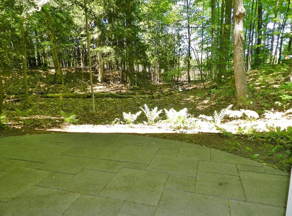 12055 S Woodwinds Circle Elmwood Charter Township, MI 49684