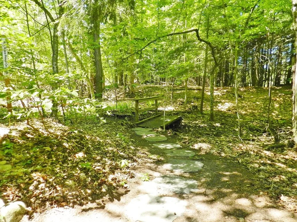 12055 S Woodwinds Circle Elmwood Charter Township, MI 49684