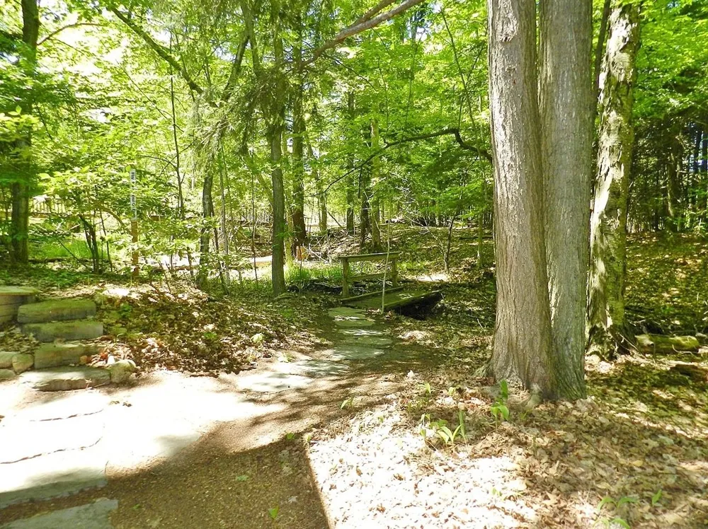 12055 S Woodwinds Circle Elmwood Charter Township, MI 49684