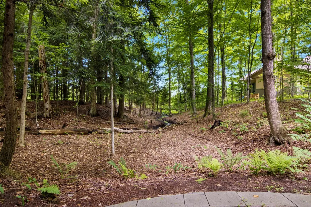 12055 S Woodwinds Circle Elmwood Charter Township, MI 49684