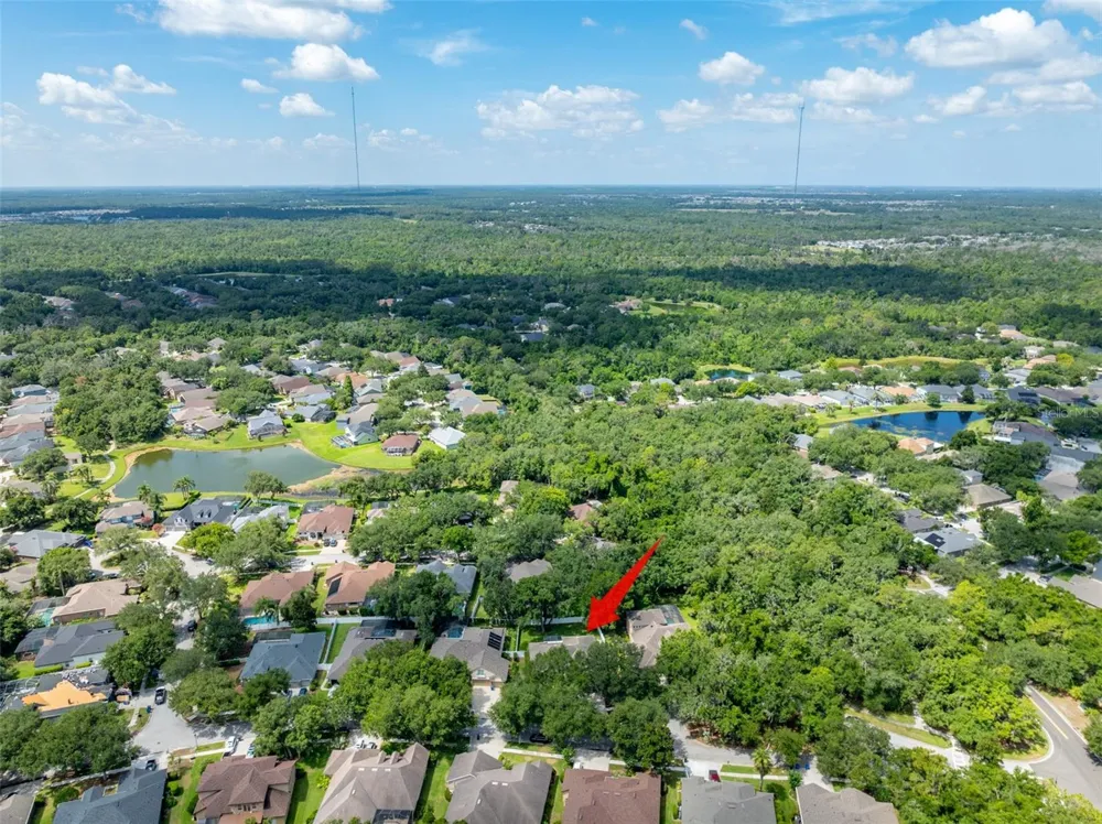 15211 MERLINGLEN PLACE Lithia, FL 33547