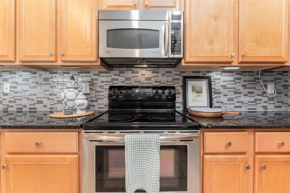 15211 MERLINGLEN PLACE Lithia, FL 33547