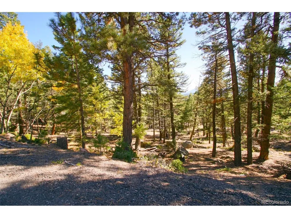 30402 Kings Vly E Conifer, CO 80433