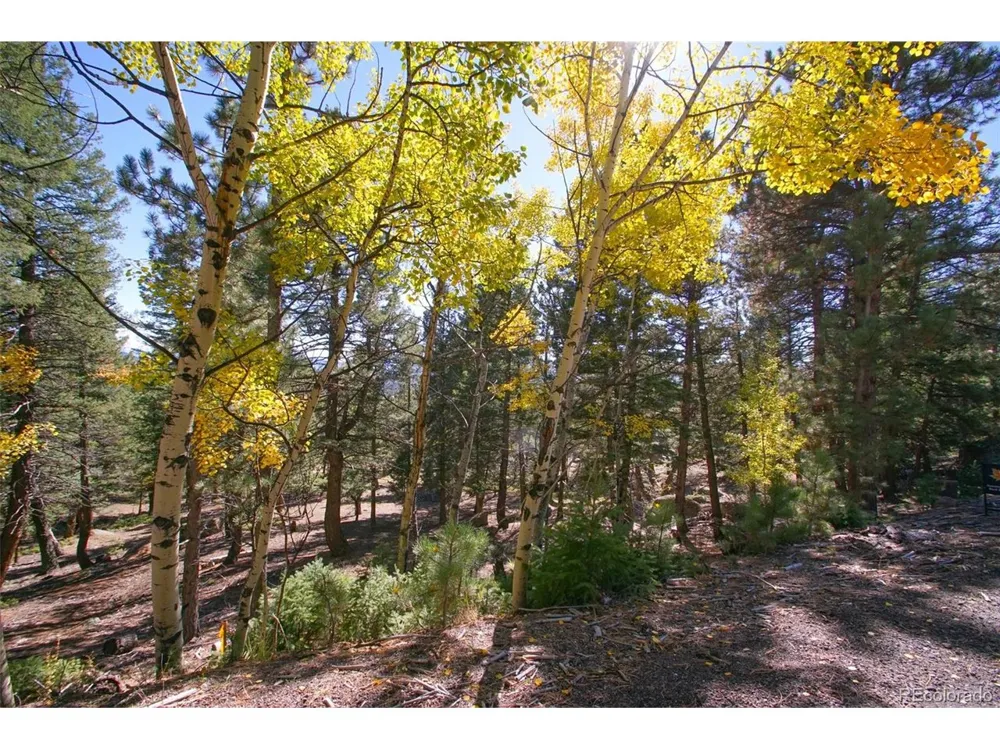 30402 Kings Vly E Conifer, CO 80433