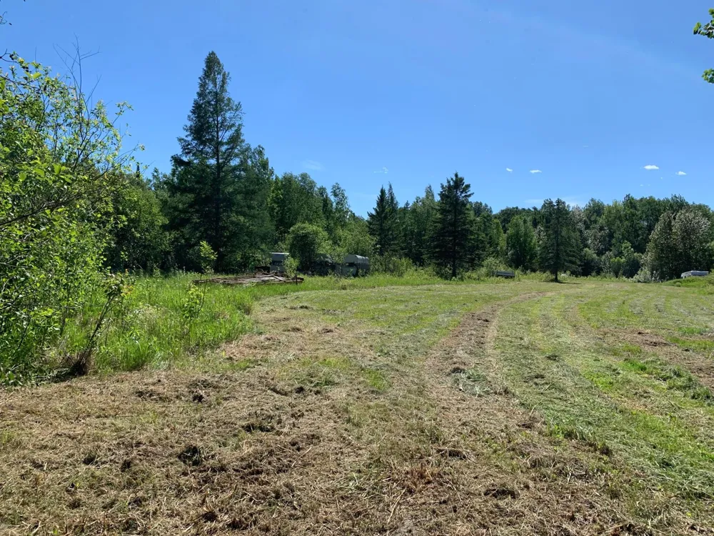 3121 County Road 2 S International Falls, MN 56649