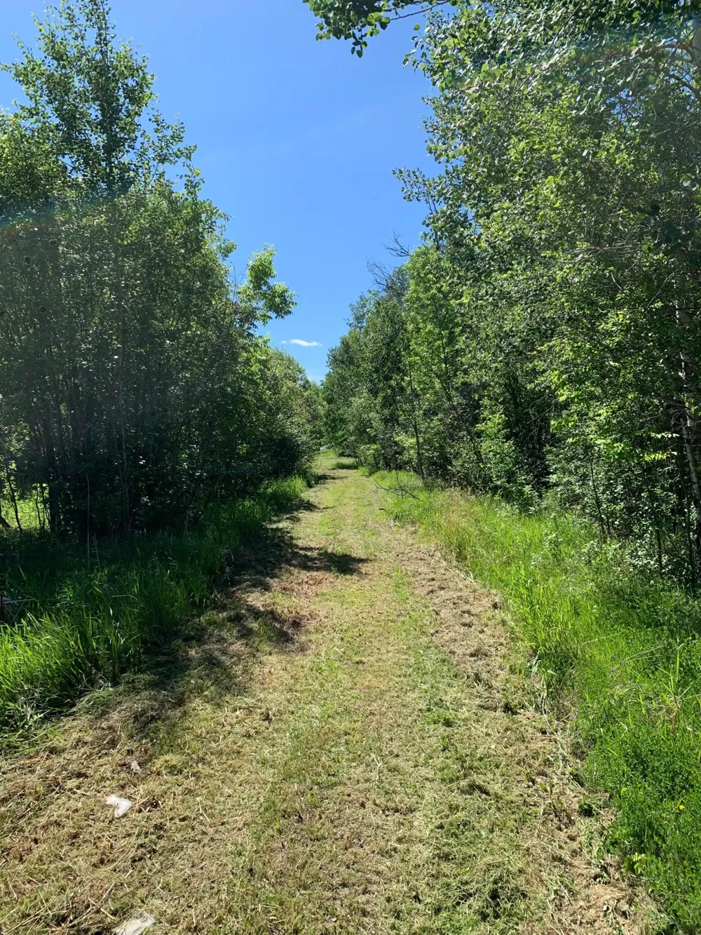3121 County Road 2 S International Falls, MN 56649